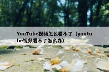 YouTube视频怎么看不了（youtube视频看不了怎么办）