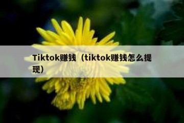 Tiktok赚钱（tiktok赚钱怎么提现）