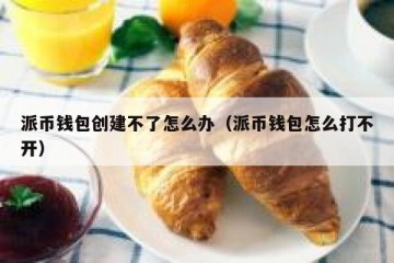 派币钱包创建不了怎么办（派币钱包怎么打不开）