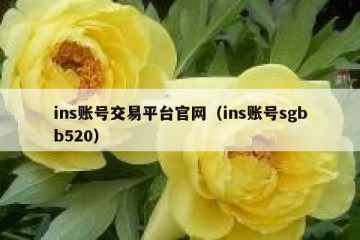 ins账号交易平台官网（ins账号sgbb520）