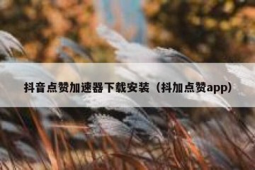 抖音点赞加速器下载安装（抖加点赞app）