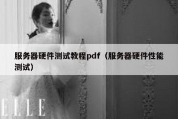 服务器硬件测试教程pdf（服务器硬件性能测试）