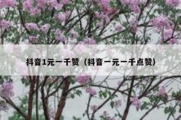 抖音1元一千赞（抖音一元一千点赞）