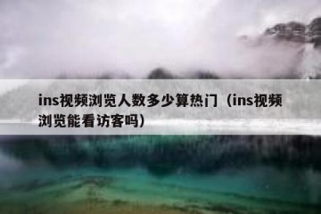 ins视频浏览人数多少算热门（ins视频浏览能看访客吗）