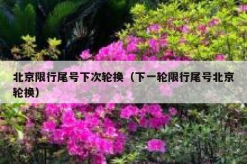 北京限行尾号下次轮换（下一轮限行尾号北京轮换）