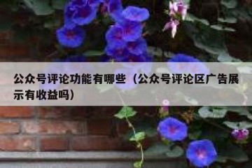 公众号评论功能有哪些（公众号评论区广告展示有收益吗）