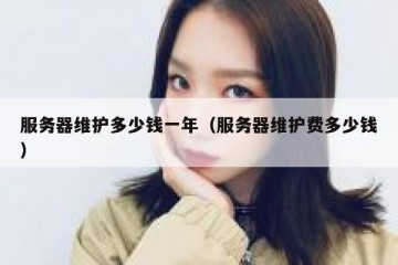 服务器维护多少钱一年（服务器维护费多少钱）