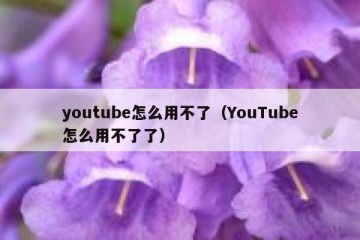 youtube怎么用不了（YouTube怎么用不了了）