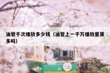 油管千次播放多少钱（油管上一千万播放量算多吗）