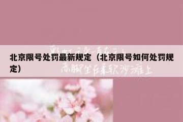 北京限号处罚最新规定（北京限号如何处罚规定）