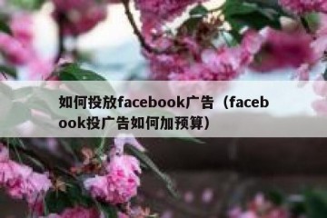 如何投放facebook广告（facebook投广告如何加预算）