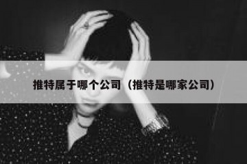 推特属于哪个公司（推特是哪家公司）