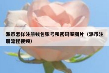 派币怎样注册钱包账号和密码呢图片（派币注册流程视频）