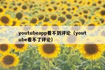 youtubeapp看不到评论（youtube看不了评论）