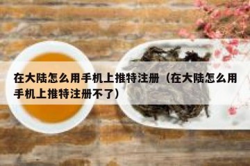 在大陆怎么用手机上推特注册（在大陆怎么用手机上推特注册不了）