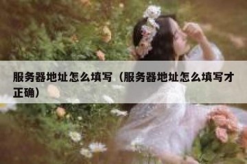 服务器地址怎么填写（服务器地址怎么填写才正确）