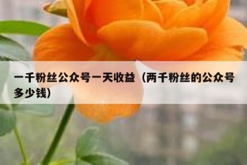 一千粉丝公众号一天收益（两千粉丝的公众号多少钱）
