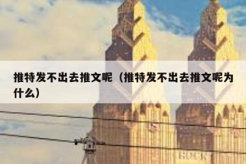 推特发不出去推文呢（推特发不出去推文呢为什么）