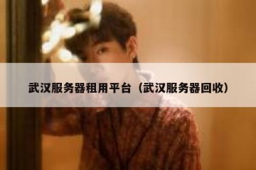 武汉服务器租用平台（武汉服务器回收）