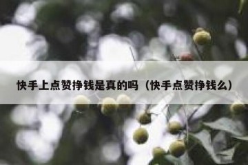 快手上点赞挣钱是真的吗（快手点赞挣钱么）