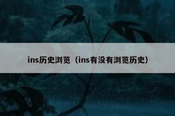 ins历史浏览（ins有没有浏览历史）
