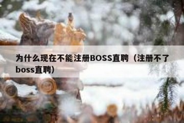 为什么现在不能注册BOSS直聘（注册不了boss直聘）