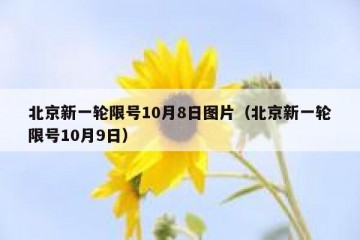 北京新一轮限号10月8日图片（北京新一轮限号10月9日）
