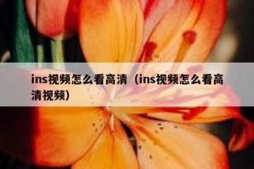 ins视频怎么看高清（ins视频怎么看高清视频）