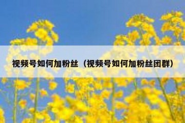 视频号如何加粉丝（视频号如何加粉丝团群）
