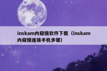 inskam内窥镜软件下载（inskam内窥镜连接手机步骤）