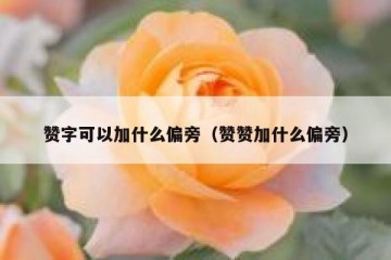 赞字可以加什么偏旁（赞赞加什么偏旁）