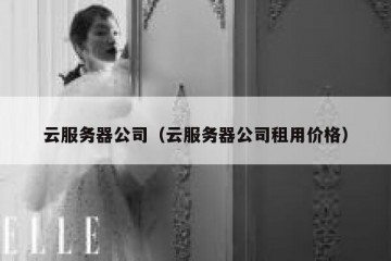 云服务器公司（云服务器公司租用价格）