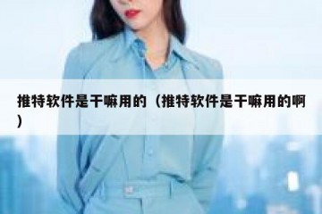 推特软件是干嘛用的（推特软件是干嘛用的啊）