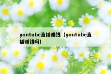 youtube直播赚钱（youtube直播赚钱吗）