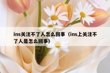 ins关注不了人怎么回事（ins上关注不了人是怎么回事）