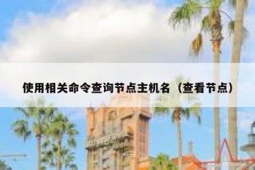 使用相关命令查询节点主机名（查看节点）