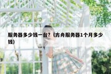 服务器多少钱一台?（方舟服务器1个月多少钱）