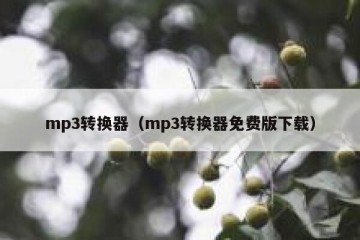mp3转换器（mp3转换器免费版下载）
