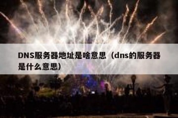 DNS服务器地址是啥意思（dns的服务器是什么意思）