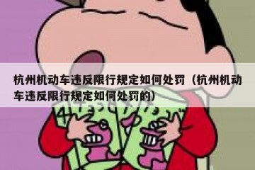 杭州机动车违反限行规定如何处罚（杭州机动车违反限行规定如何处罚的）