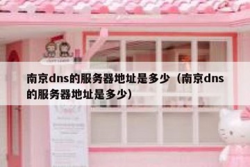 南京dns的服务器地址是多少（南京dns的服务器地址是多少）