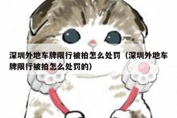 深圳外地车牌限行被拍怎么处罚（深圳外地车牌限行被拍怎么处罚的）