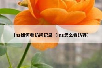 ins如何看访问记录（ins怎么看访客）