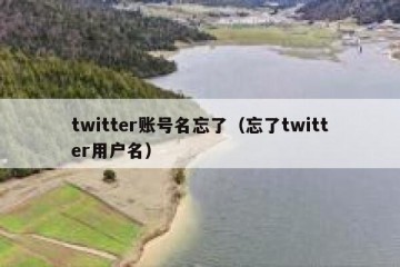 twitter账号名忘了（忘了twitter用户名）