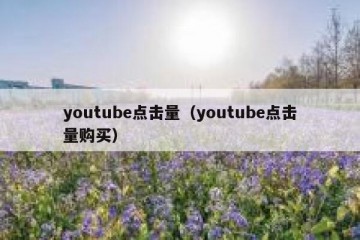youtube点击量（youtube点击量购买）