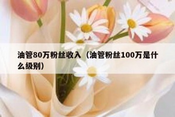 油管80万粉丝收入（油管粉丝100万是什么级别）