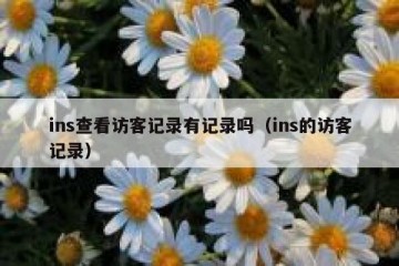 ins查看访客记录有记录吗（ins的访客记录）