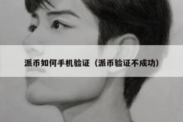 派币如何手机验证（派币验证不成功）