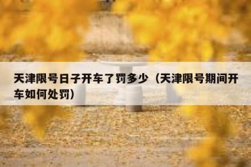 天津限号日子开车了罚多少（天津限号期间开车如何处罚）