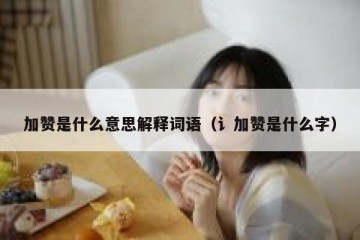 加赞是什么意思解释词语（讠加赞是什么字）